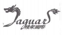 JAGUAR:::積架國際